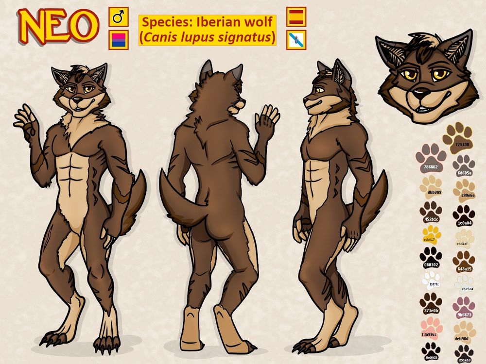 This is Neo's reference sheet, created by Melissa and modified by me.
In the upper left margin is the name “Neo” in yellow letters, with red border and shaded.
To its right are, aligned vertically, 2 squares with red border and yellow interior, one of which contains the male symbol (♂️) and, the other, the bisexual flag.
Further to the right there is a yellow rectangle with orange border, containing the text “Species: Iberian wolf (Canis lupus signatus)”, written in red.
To the right of the latter there are 2 other squares. In the upper one there is the flag of Spain and, in the lower one, the flag of the Autonomous Community of Galicia (including the coat of arms).
Below the name, there are 3 perspectives of the character, which is an anthropomorphic wolf with an athletic body, whose fur is light brown, pale brown and chocolate. His nose and eyebrows are dark brown. His eyes have golden irises and the upper half of his ears are gray.
In addition, he has 2 chocolate markings (consisting of 2 diagonal lines crossing each other, with rounded edges and pointing downwards) per arm, 3 on each side of the abdomen (pointing outwards), 1 (in the shape of a pointed arch arranged upside down and with irregular edges) on the forearm and 4 (formed only by a diagonal line) on each calf (2 on each side).
The first one starting from the left is a frontal view. It also shows the scar on his right thigh.
In the second one, Neo is seen from the back, being appreciable also the soles of his digitigrade feet with claws. And in the third one, he appears in profile; that is to say, his left side is shown.
In the upper right margin appears an enlarged image of Neo's head only. And finally, below this are 19 dog prints, each one painted with one of the colors used in Neo's design (its corresponding HTML notation is included).