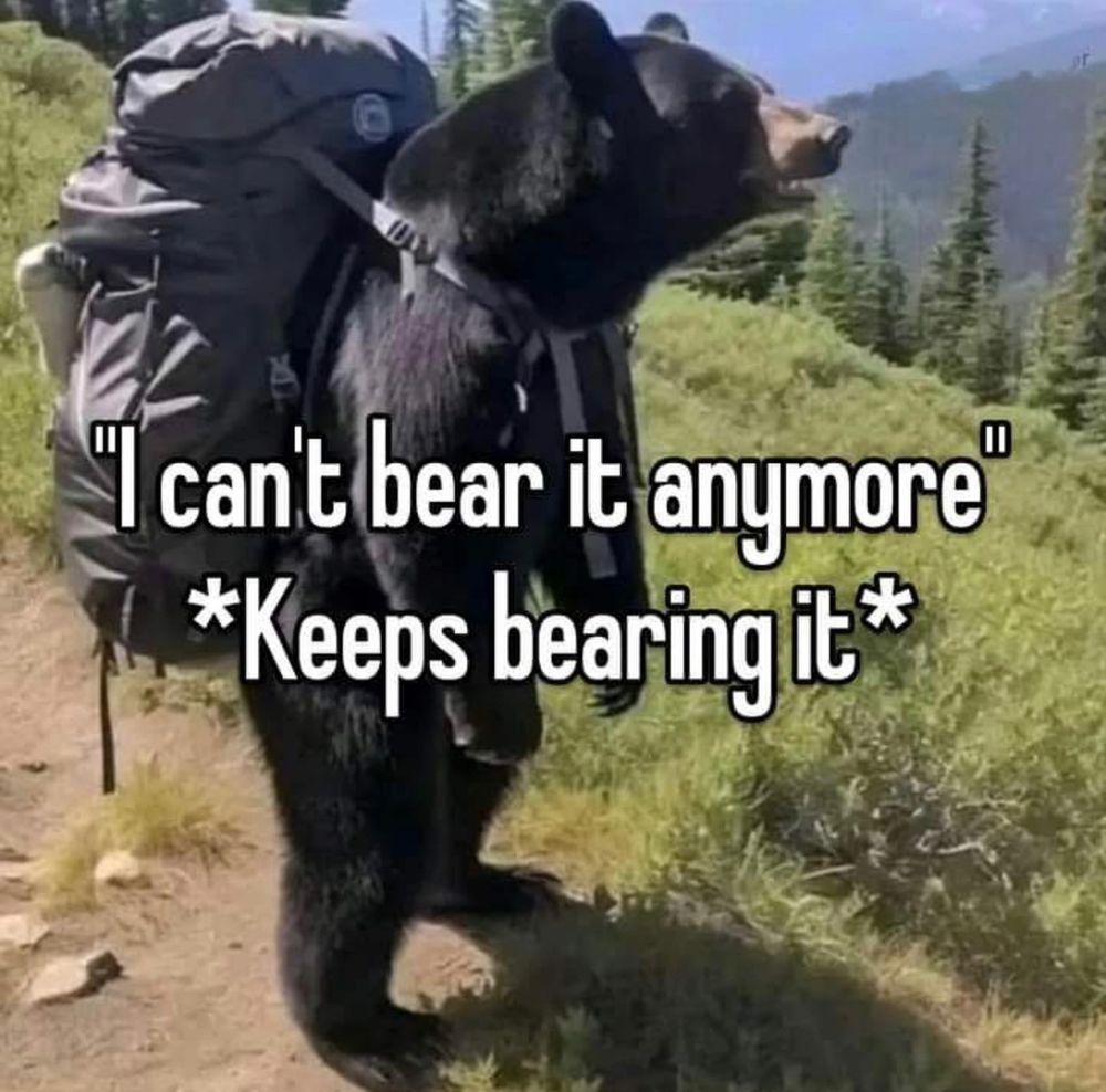 A black bear standing upright on its hind legs on a dirt hiking trail. The bear is wearing a large, fully loaded grey hiking backpack strapped to its back. In the background, there is a sunny, green mountain landscape with pine trees. Text superimposed over the bear, "'I can't bear it anymore' *Keeps bearing it*"
