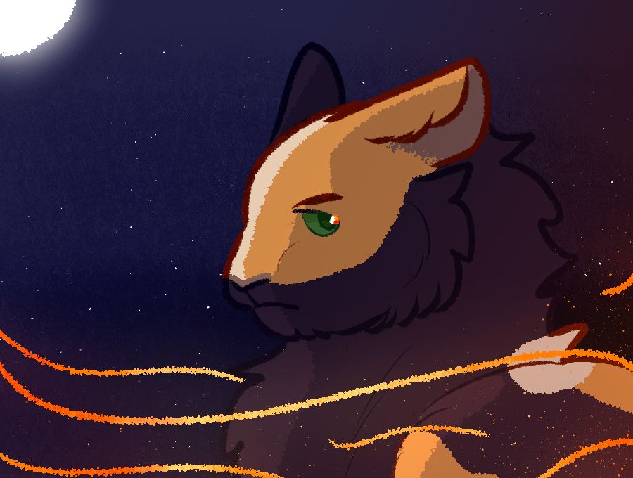 A tortoiseshell cat at night with embers flying around him.