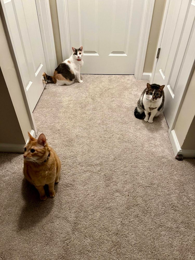 Every time my kid takes a shower.