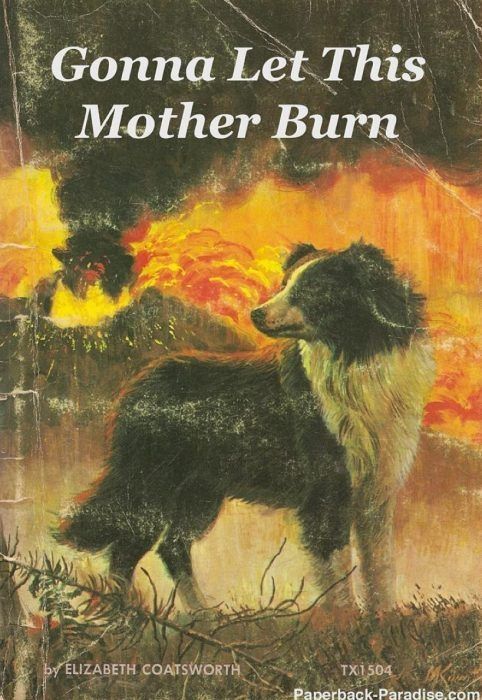 Paperback Paradise presents "Gonna let this mother burn." The front cover features a border Collie staring into the distance while a fire rages in the background.
