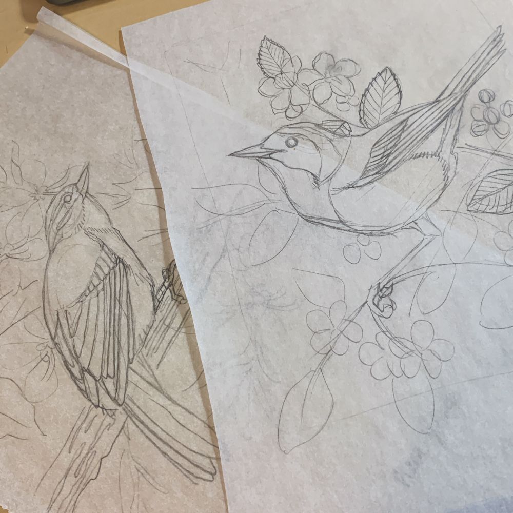 Pencil sketches of two birds