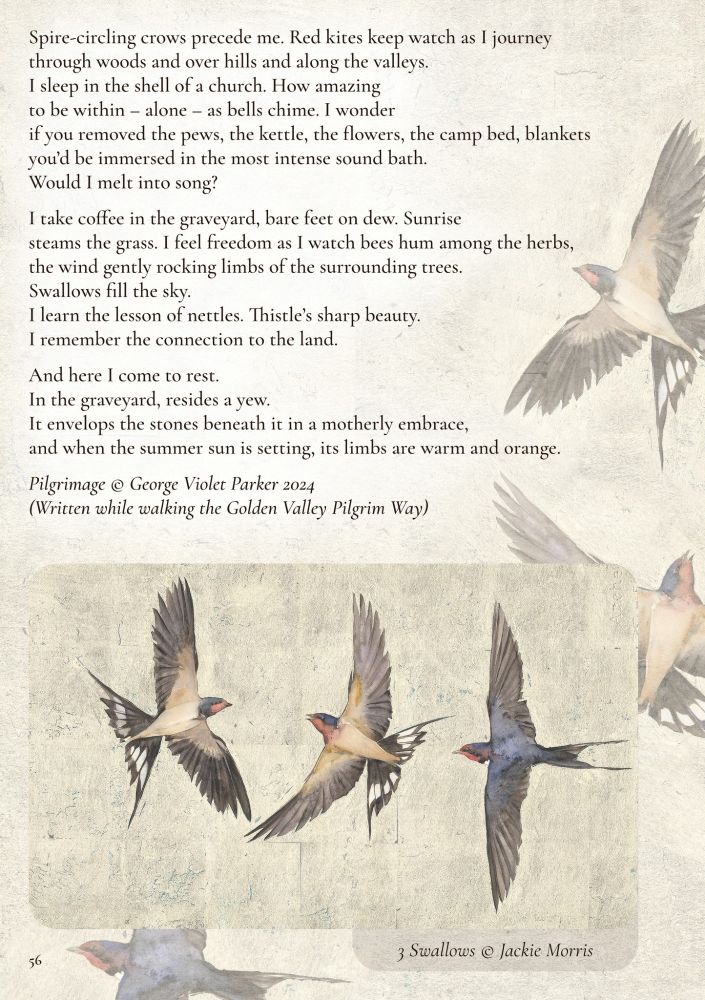 Spire-circling crows precede me. Red kites keep watch as I journey through woods and over hills and along the valleys. I sleep in the shell of a church. How amazing to be within — alone — as bells chime. I wonder if you removed the pews, the kettle, the flowers, the camp bed, blankets you'd be immersed in the most intense sound bath. Would I melt into song? 

I take coffee in the graveyard, bare feet on dew. Sunrise steams the grass. I feel freedom as I watch bees hum among the herbs, the wind gently rocking limbs of the surrounding trees. Swallows fill the sky. I learn the lesson of nettles. Thistle's sharp beauty. I remember the connection to the land.

And here I come to rest. In the graveyard, resides a yew. It envelops the stones beneath it in a motherly embrace, and when the summer sun is setting, its limbs are warm and orange.

Words: 'Pilgrimage' by George Violet Parker 2024 (Written while walking the Golden Valley Pilgrim Way) 

Art: Swallows @ Jackie Morris 