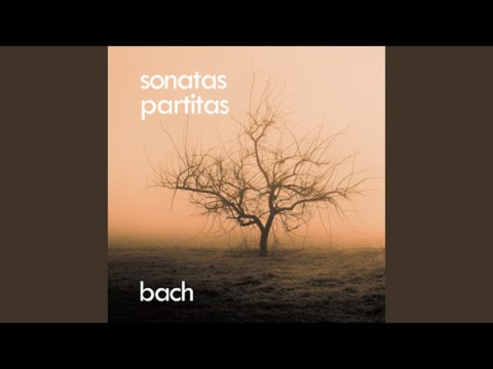 J.S. Bach: Sonata for Violin and Harpsichord in C minor, BWV 1017 - 1. Largo