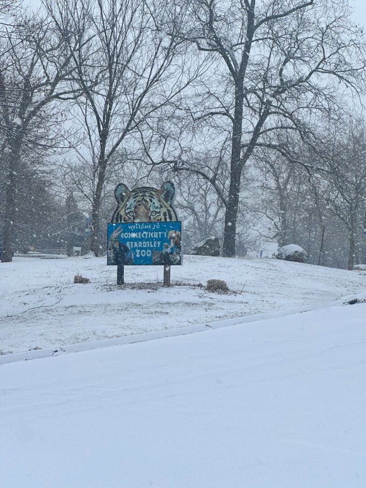 "Welcome to Connecticut's Beardsley Zoo" sign in a light snow.