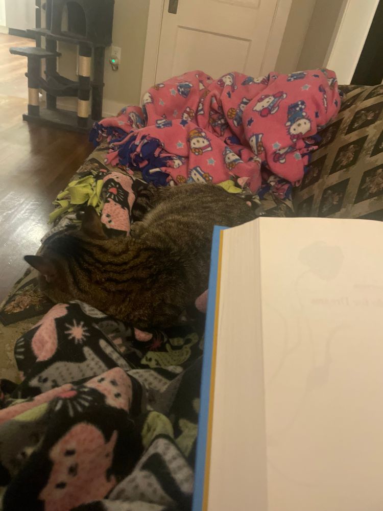 My cat sleeping on top of my blanket and feet while I read my book.