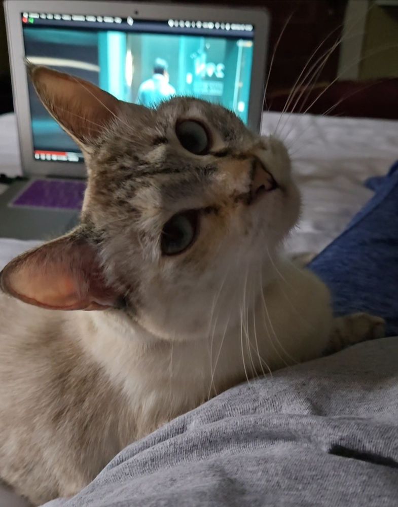 Minnie 