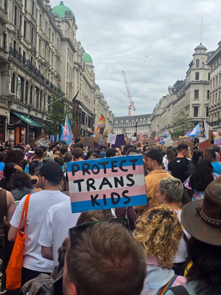 Picture of a sign that says 'protect trans kids'