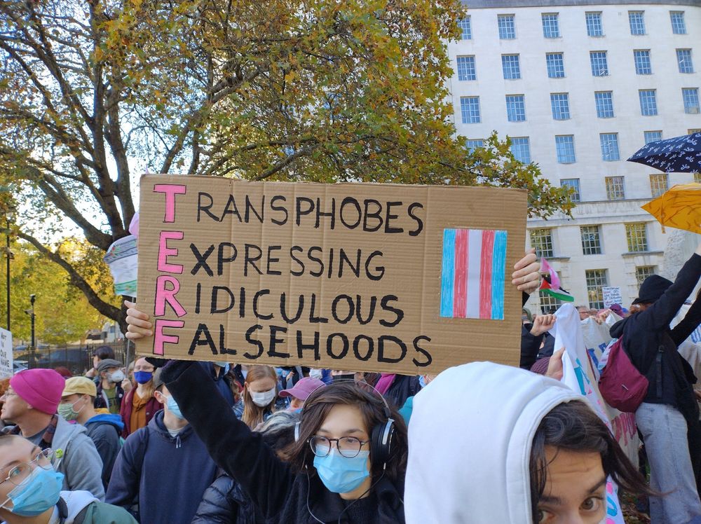 Picture of a person holding a poster that says 'transphobes expressing ridiculous falsehoods'