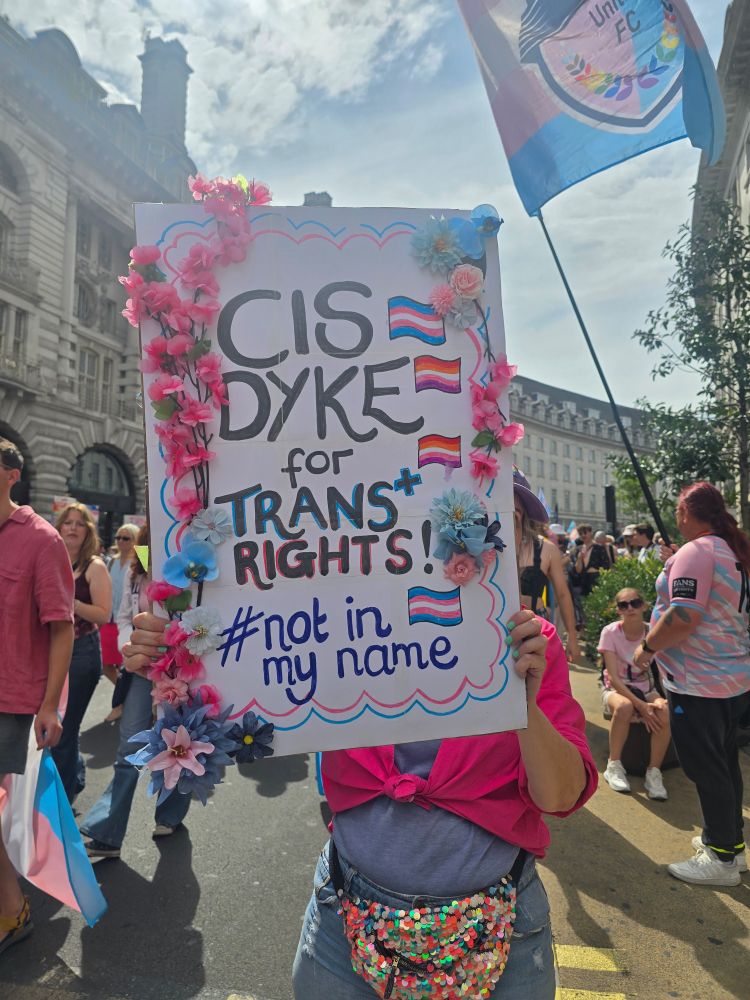 Picture of a sign that says 'cis Dyke for trans rights! #not in my name'
