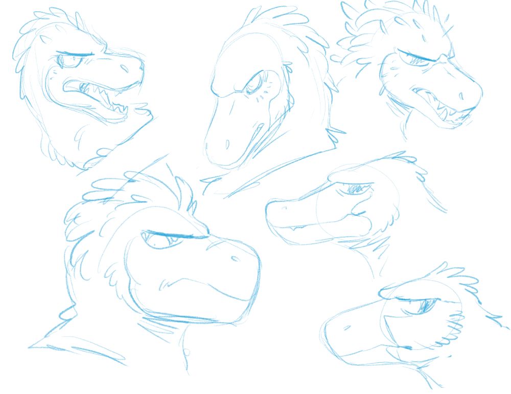 a sketch page of raptor faces