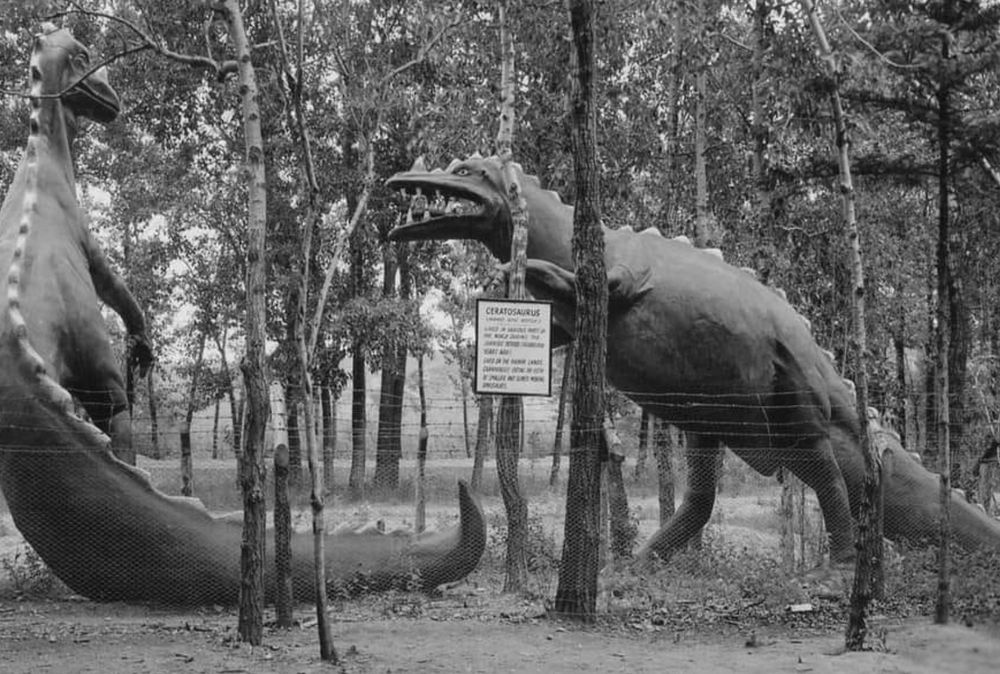 photo of two dinosaur statues facing off, one is labelled a Ceratosaurus