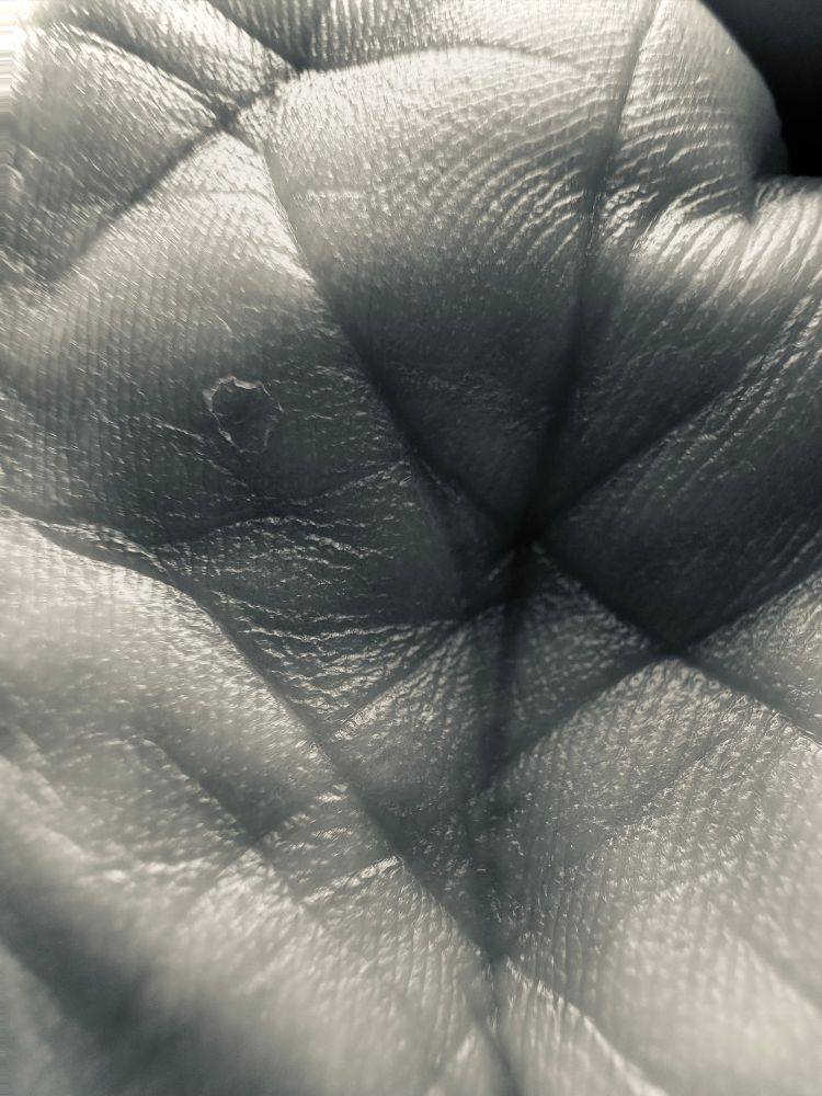 B&W closeup photo of the palm of a hand