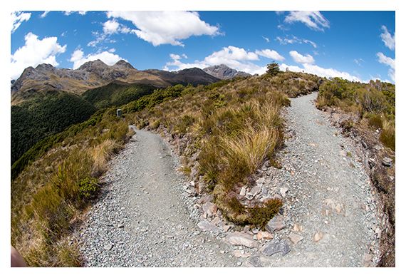 A wide angle photograph of a winding gravel hiking trail - The Routeburn Trak