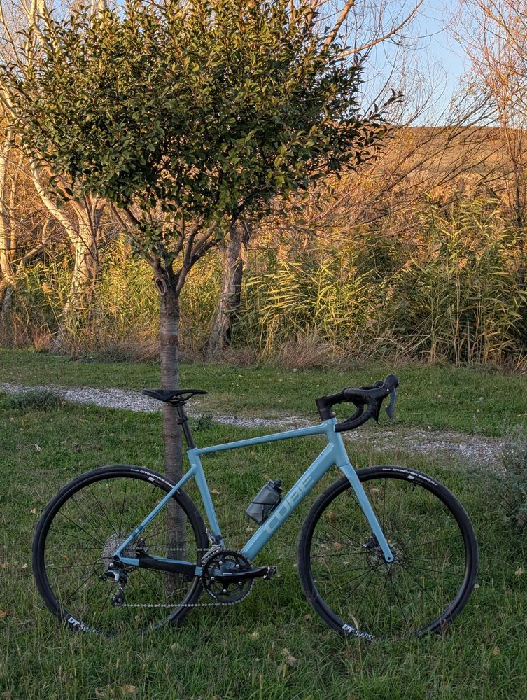 Light blue Cube Attain 2025 road bike with disc brakes and DT Swiss wheels, featuring internal cable routing, is parked in a grassy field against a slender tree with green-brown leaves. The background consists of tall dry reeds and bare trees under a clear sky.

