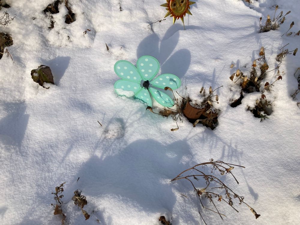 Photo of a polka-dot fabric flower in a snowy lawn