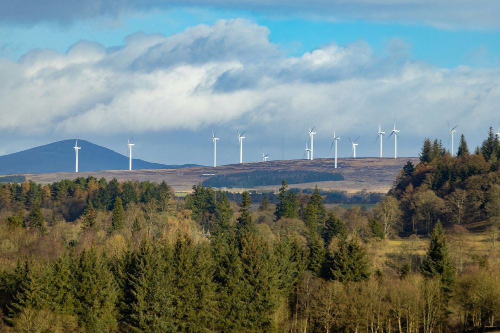A wind farm on a hillside in the distance. There are trees in the foreground and a cloudy sky above.