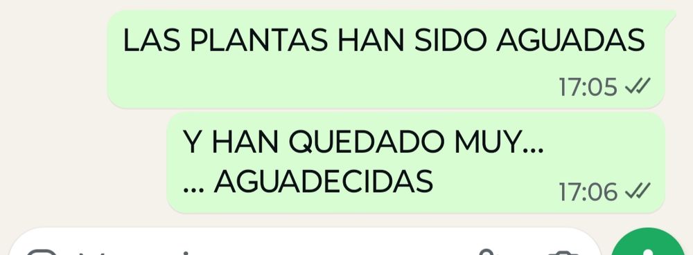 Mensaje de WhatsApp que dice:
" LAS PLANTAS HAN SIDO AGUADAS
Y HAN QUEDADO MUY...
... AGUADECIDAS" 