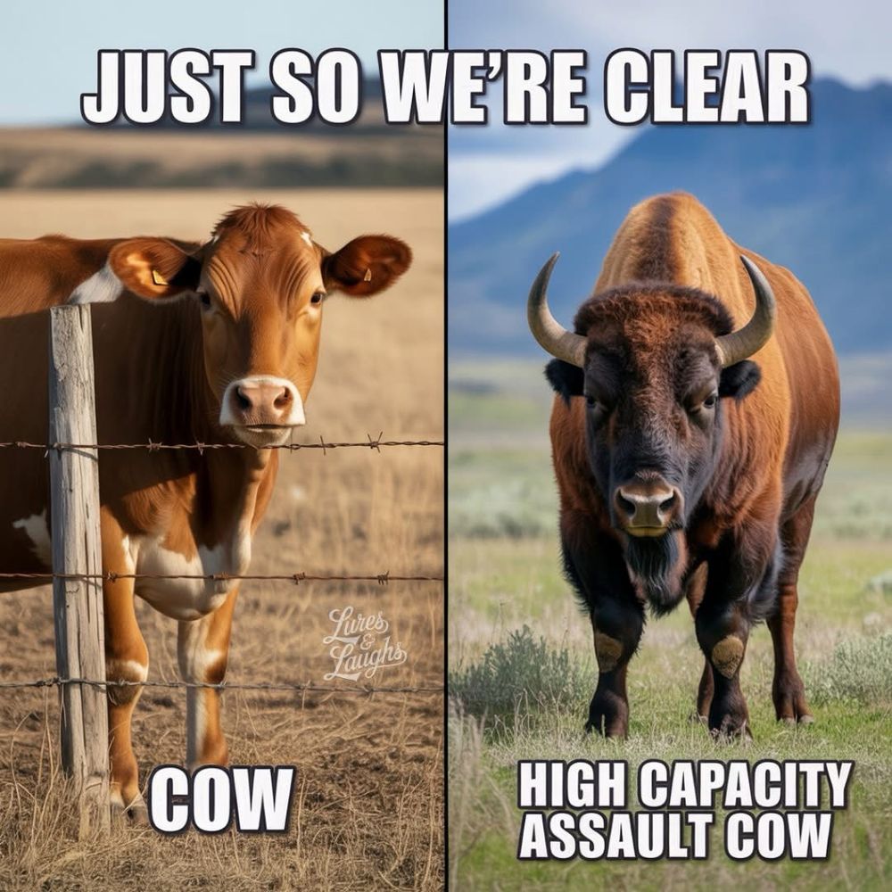 Just so we’re clear:

(Pucture of a cow behind a barbed wire fence) COW

(Picture of an American Bison) High Capacity Assault Cow.