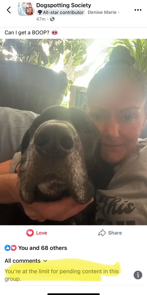 A post in the Facebook group “dog spotting society” that shows a woman with her dog asking if she can get a boop for his snoot, and then highlighted is the message for me that “you’re at the limit for pending content in this group.” Meaning that I can’t boop the snoot.
I am very upset about this . The snoot needs booping!