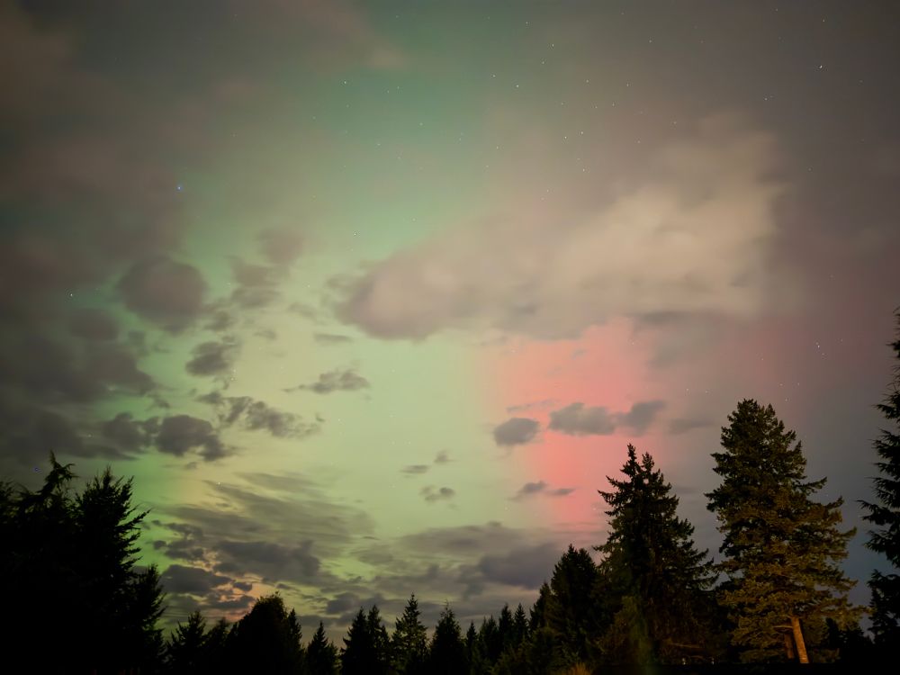 Aurora visible in WA state with the vivid red and green hues of watermelon seen over trees 