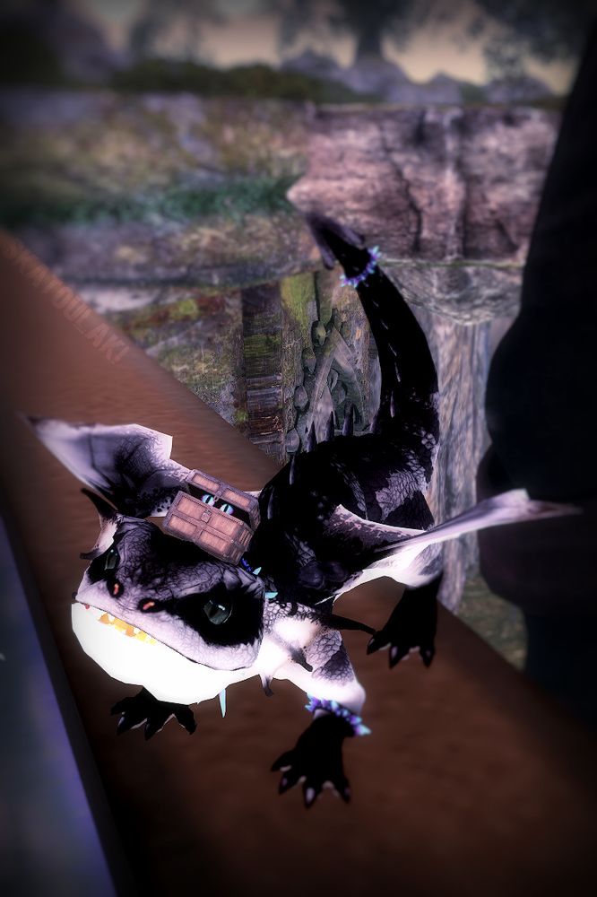 Cutest Little Dragon avatar, Fantasy Faire, Second Life