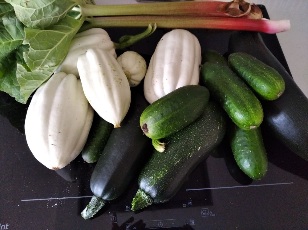 Various cucurbits 