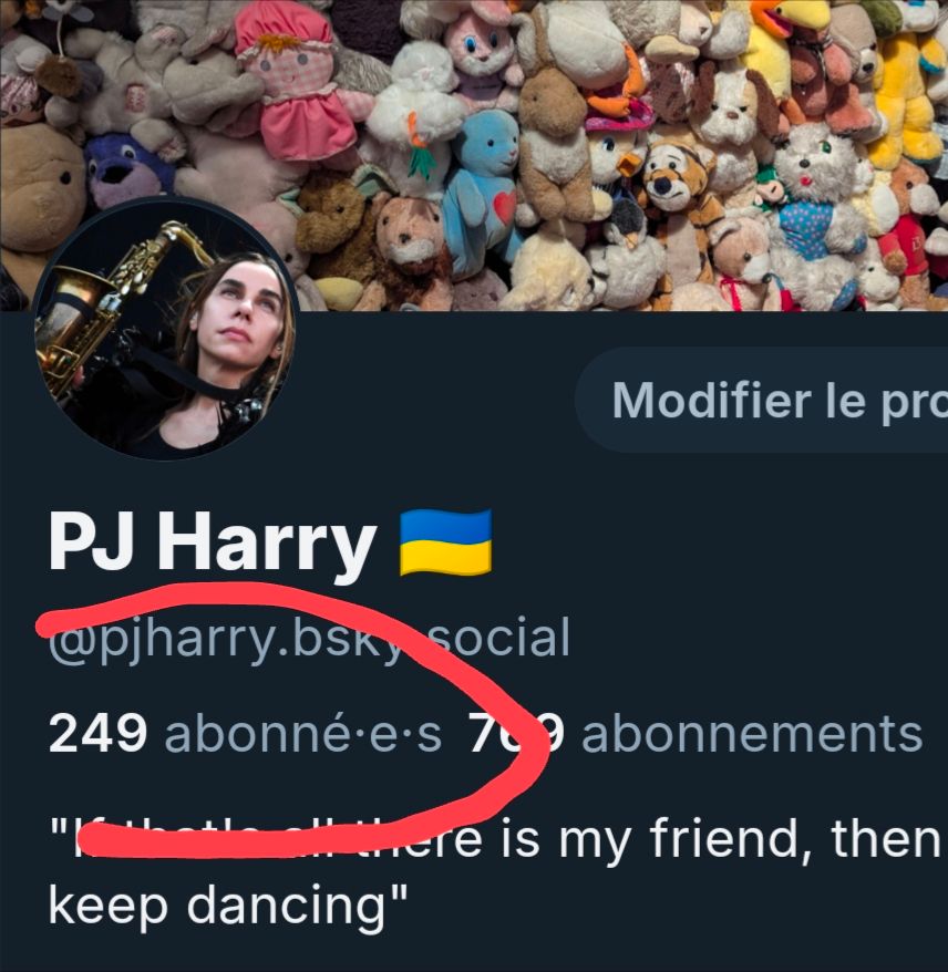 Capture écran de mon profil. Le nombre de followers est surligné : 249...
