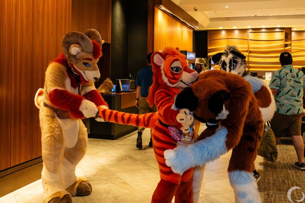 Photo of Evaa being bullied by Faar the Ram and Mikeh dog