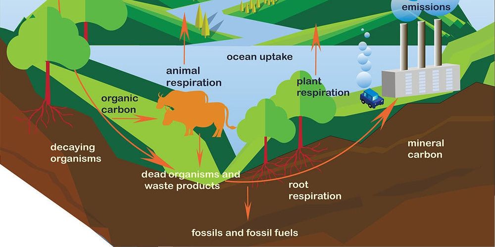 Climate Change: Are Humans Causing It?