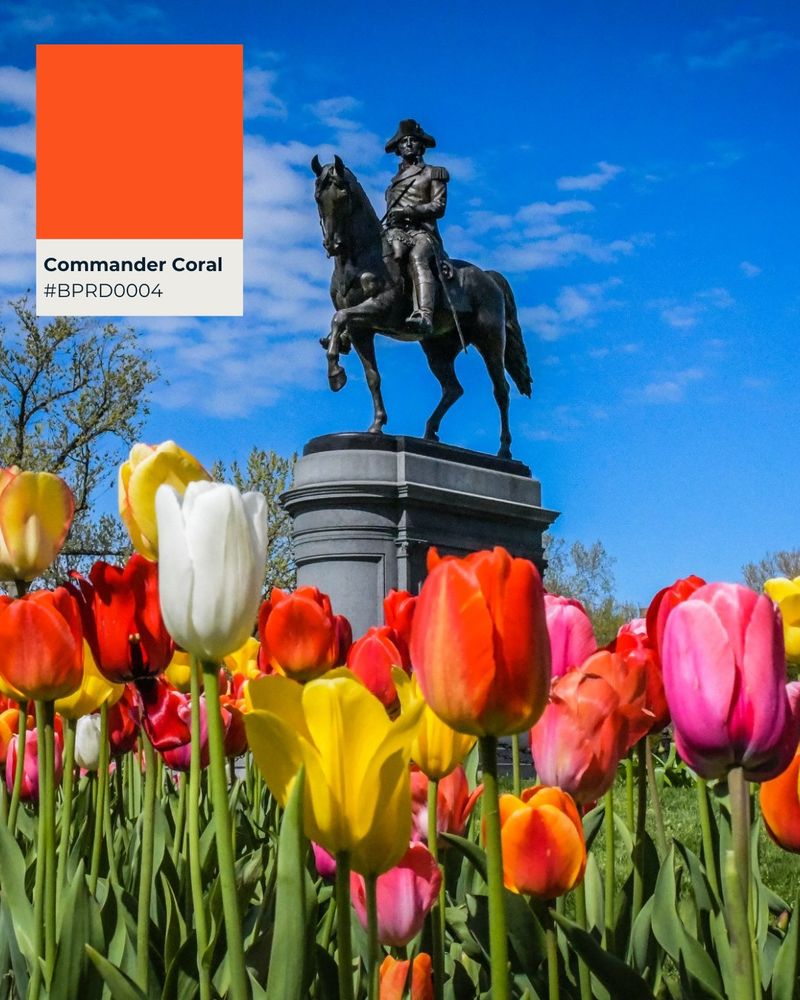 A photo of tulips in front of the George Washington Statue at Boston Public Garden with a coral swatch titled "Commander Coral"