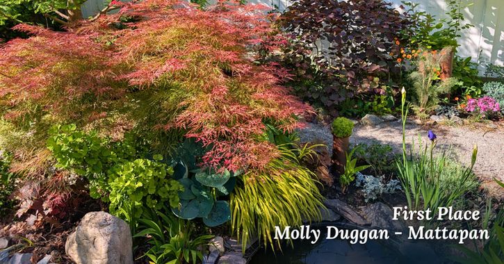 Photo of Molly Duggan's garden featuring colorful foliage and a koi pond.