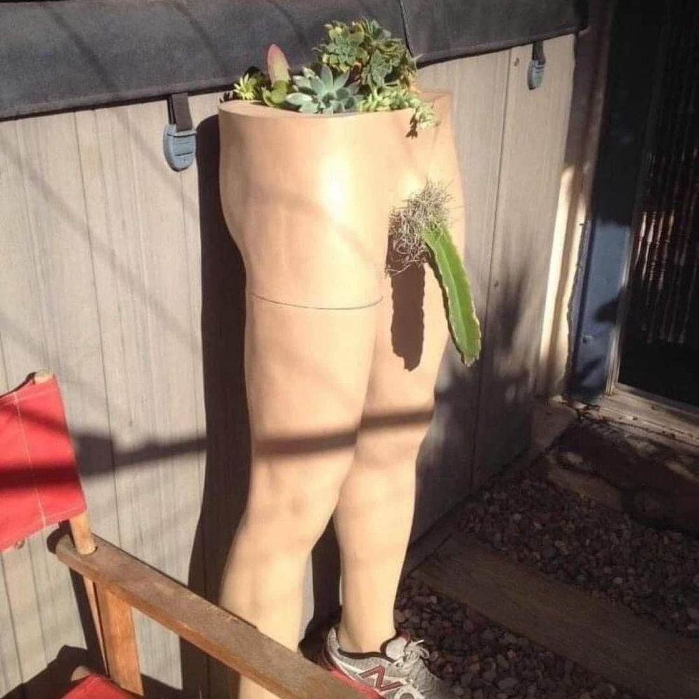 Imagem da metade de baixo de um manequim masculino, em ambiente externo com sol batendo iluminando a imagem. Algumas suculentas plantadas na parte de cima, onde seria a cintura. Na parte íntima, um grande cacto surge com formato fálico, grande e grosso, pendendo pra baixo. Acima dele é possível ver fiapos pubianos naturais, sem poda.