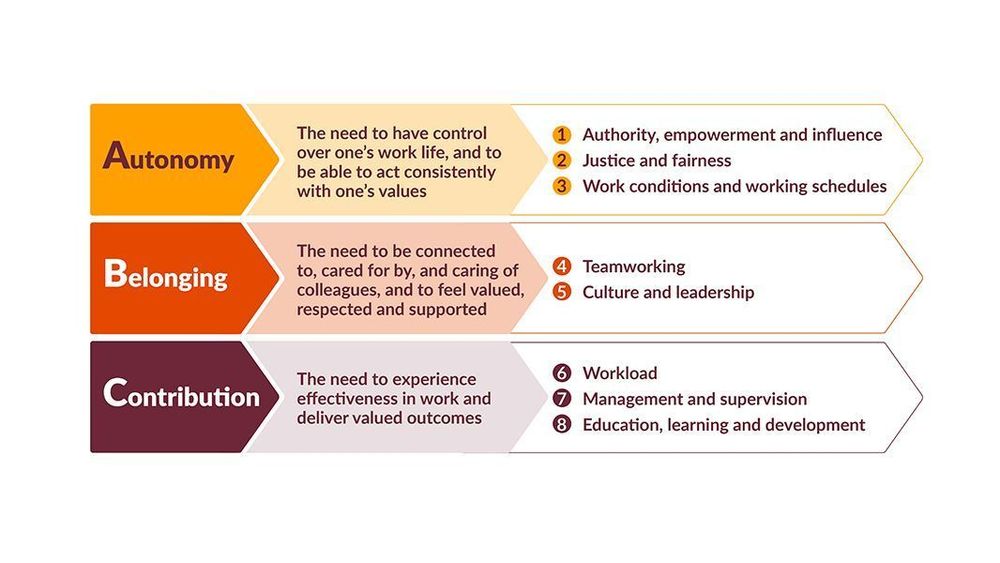 Diagram showcasing eight key workplace values divided into three categories: Autonomy, Belonging, and Contribution. Autonomy includes justice, fairness, influence, and work conditions. Belonging covers teamwork and culture. Contribution focuses on workload, management, supervision, and education and learning development. Each category is color-coded and connected by arrows.