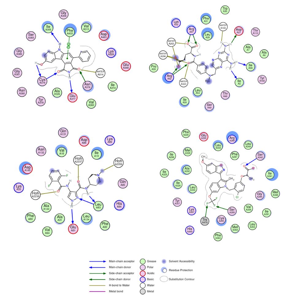 Screenshot of 2d ligand environment view, 1x8b 4dfr, 2vtq, 2p4y