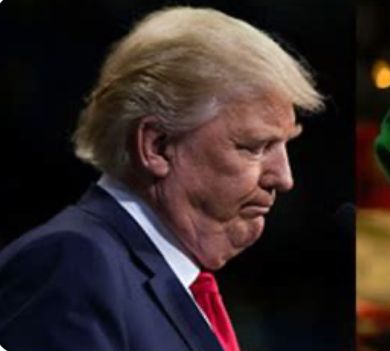 Donald Trump in profile: his double chin has a double chin and his combover is trying to run away. 