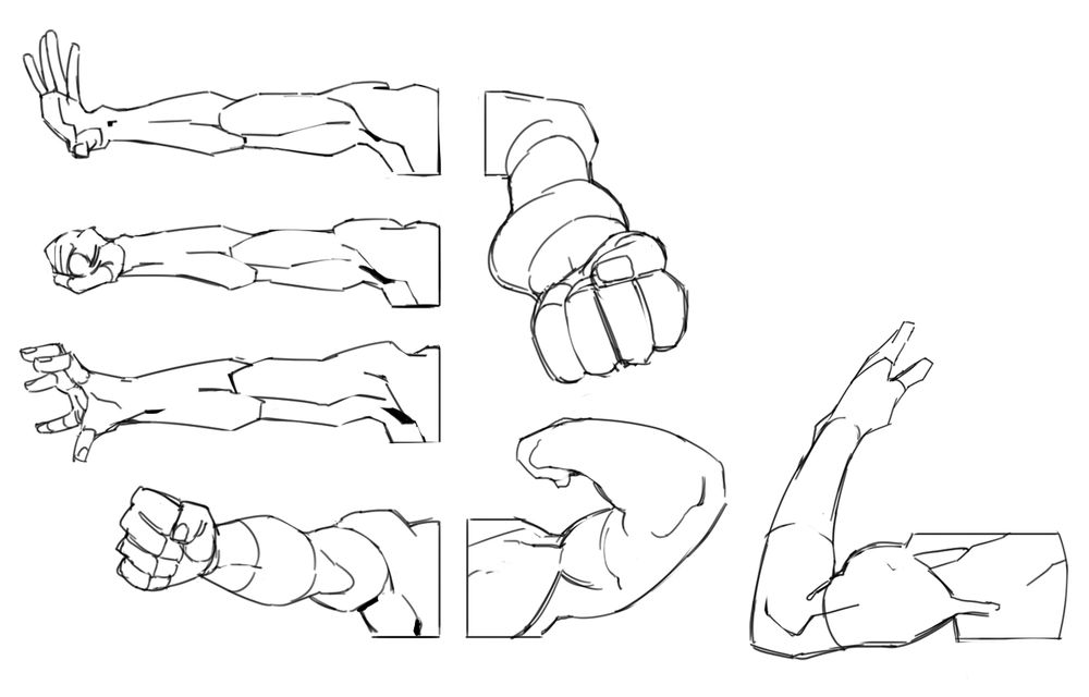 Illustrated studies of the human arm.