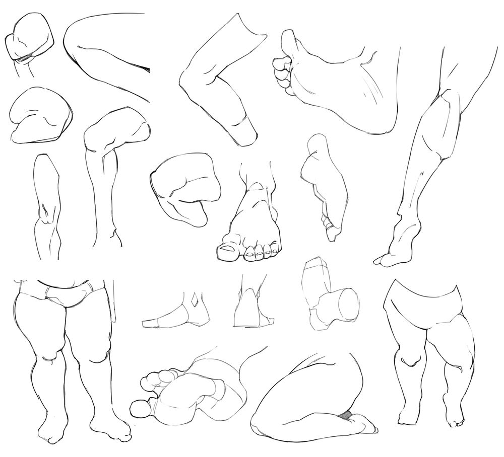 Illustrated studies of human legs and feet.