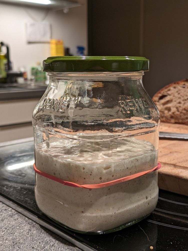 sourdough starter