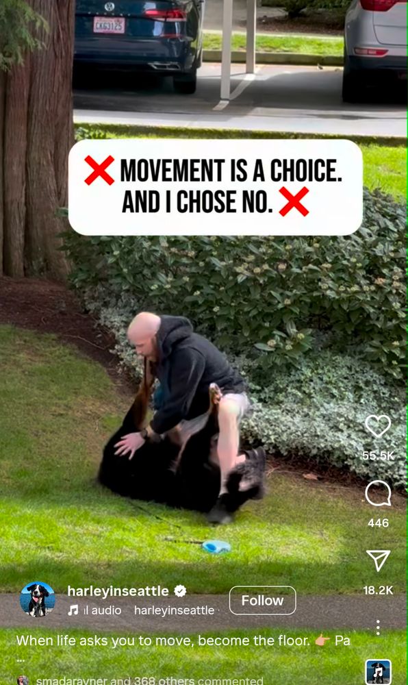 'movement is a choice. and I chose no.'