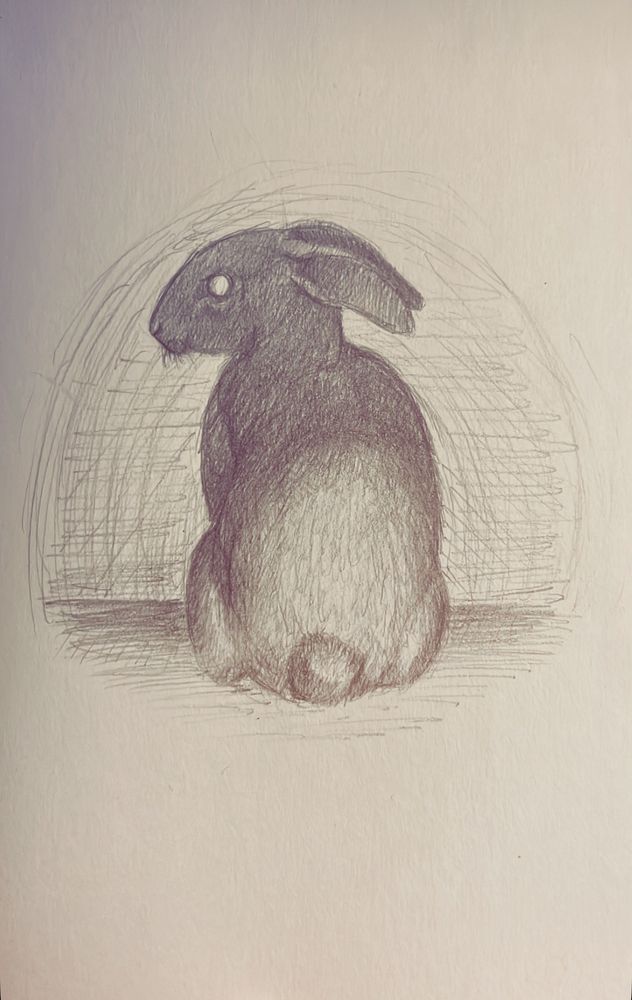 Pencil on paper drawing of a rabbit half of it in shadow as it looks back at the viewer ominously 