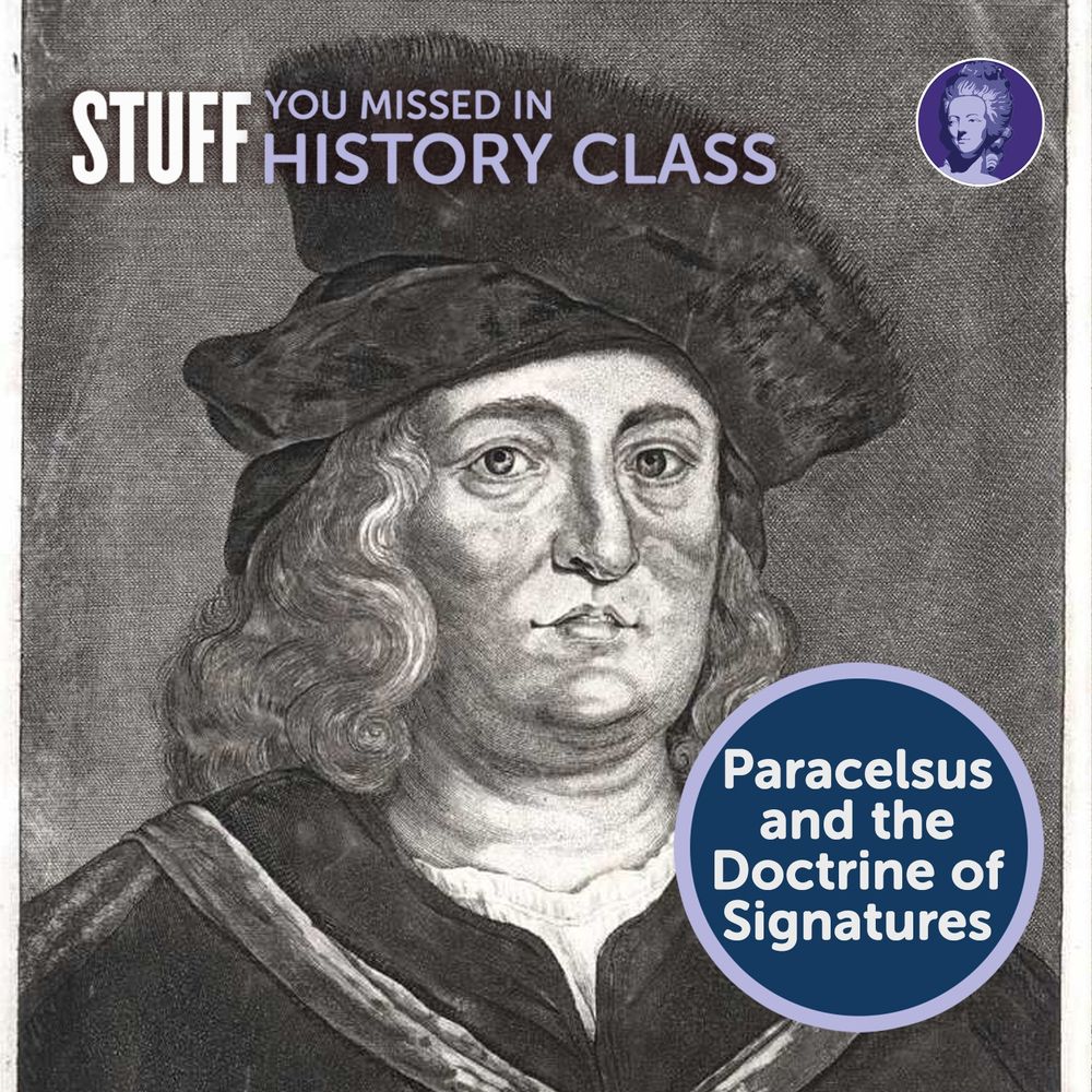 A black-and-white engraved portrait of Paracelsus, a Renaissance physician and alchemist, with long wavy hair, wearing a fur-trimmed hat and dark robe. At the top left, the text reads “Stuff You Missed in History Class” in white and lavender. In the bottom right, inside a navy circle with a lavender border, white text reads: “Paracelsus and the Doctrine of Signatures.” In the top right corner, there is a small circular logo with a stylized historical figure in purple and white.