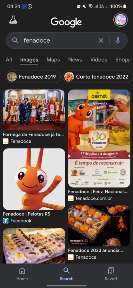 screenshot of a google search about "Fenadoce", a fair that focuses on selling regional sweets in Pelotas, Rio Grande do Sul, Brazil