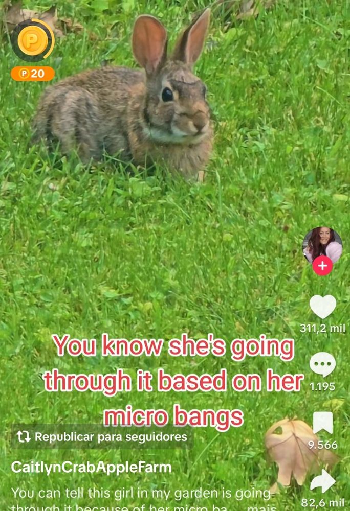 Coelha com franjinha e a legenda "you know she is going through it based on her micro bangs"