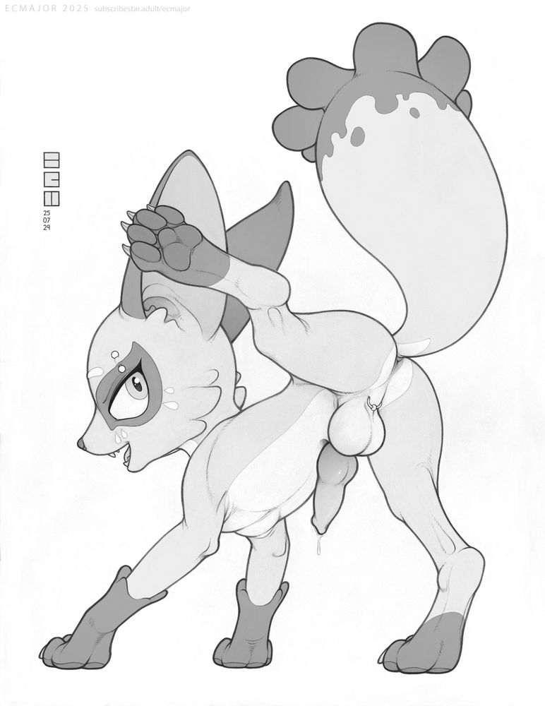 A nickit lifting his hind leg to show off his erect canine penis and balls