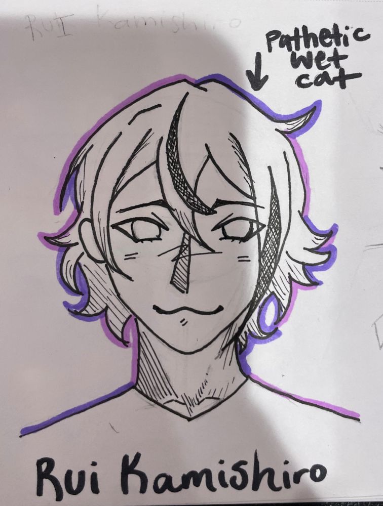 Rui Kamishiro from Hatsune Miku Colorful Stage Project Sekai ( Pjsk)