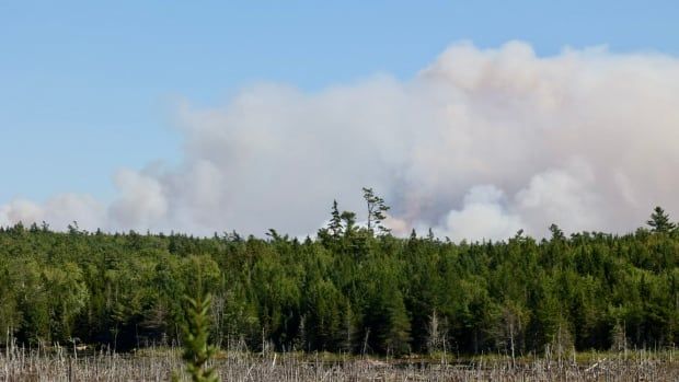 Smoke from a wildfire is shown.
