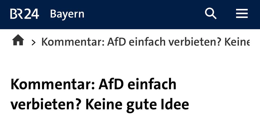 br.de: Kommentar: AfD einfach verbieten? Keine gute Idee