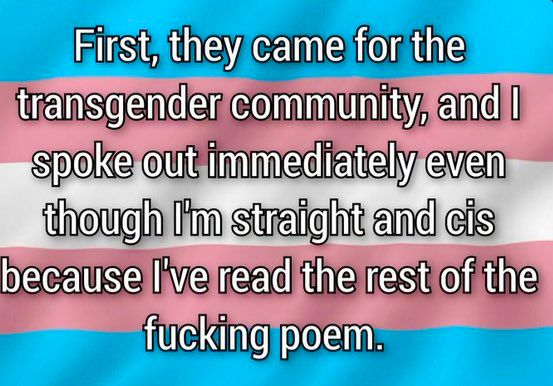 Transgender Pride Flag background with text over it.
"First, they came for the transgender community, and I spoke out immediately even though I'm straight and cis because I've read the rest of the fucking poem"