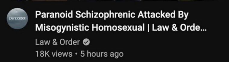 screenshot of a youtube video description reading "Paranoid Schizophrenic Attacked By Misogynistic Homosexual"